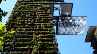 sustainability